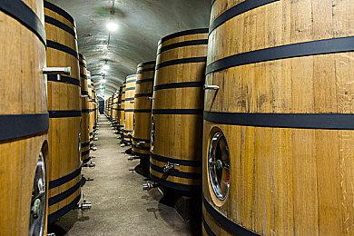 卧龙苍天陨落武器推荐，卧龙苍天陨落最强武器排行榜